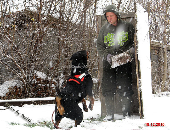 Fantasy von Kelemen Fantasy von Kelemen